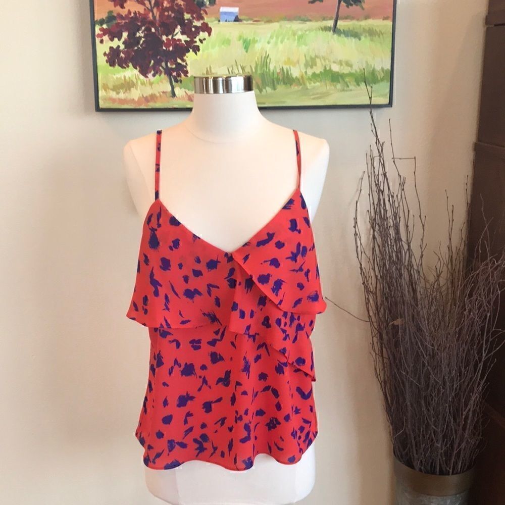 Allison Joy/Evereve Camisole  
